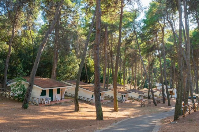 File di bungalow tra alberi in un campeggio.