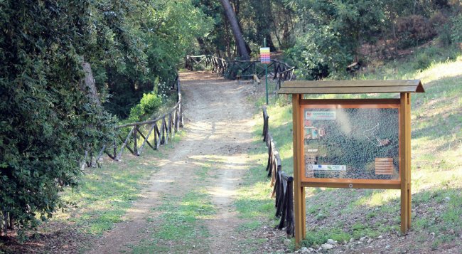 Sentiero nel bosco con un pannello informativo in legno.