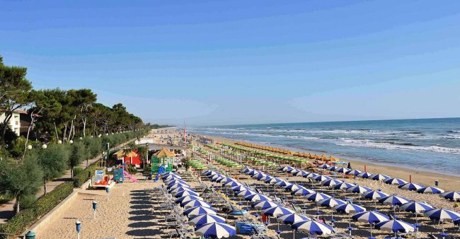 Spiaggia con file di ombrelloni blu e bianchi; mare a destra e alberi sulla sinistra.
