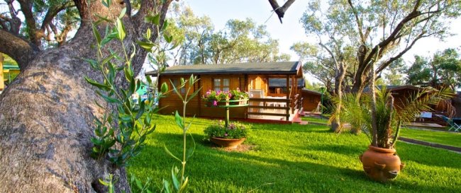 Bungalow in legno con giardino verde e alberi.