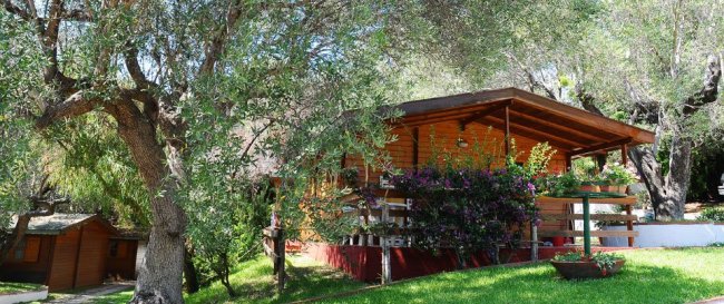 Un bungalow in legno circondato da alberi e cespugli fioriti.