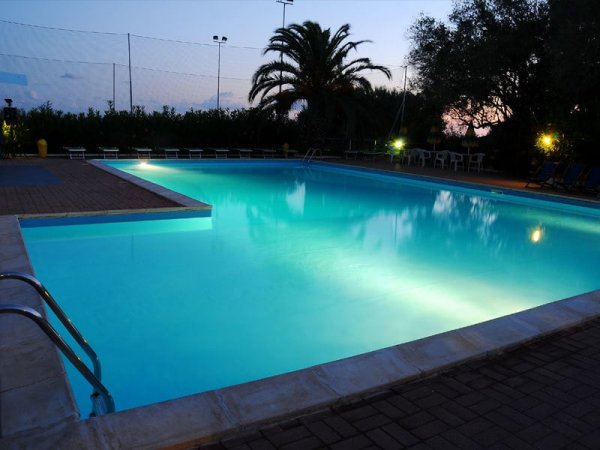 Piscina illuminata di sera con una palma sullo sfondo.