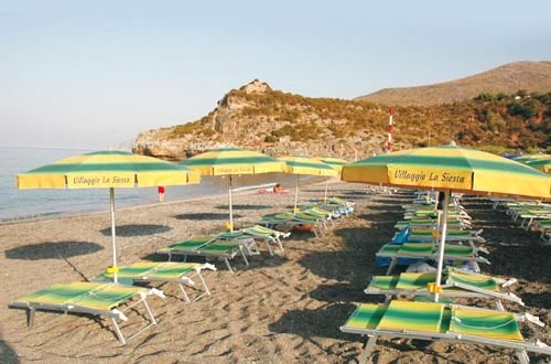 Spiaggia con lettini e ombrelloni verdi e gialli.