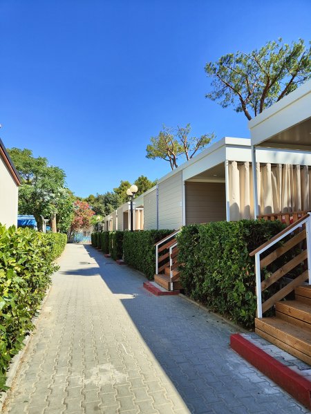 Viale ombreggiato con bungalow fiancheggiati da siepi.