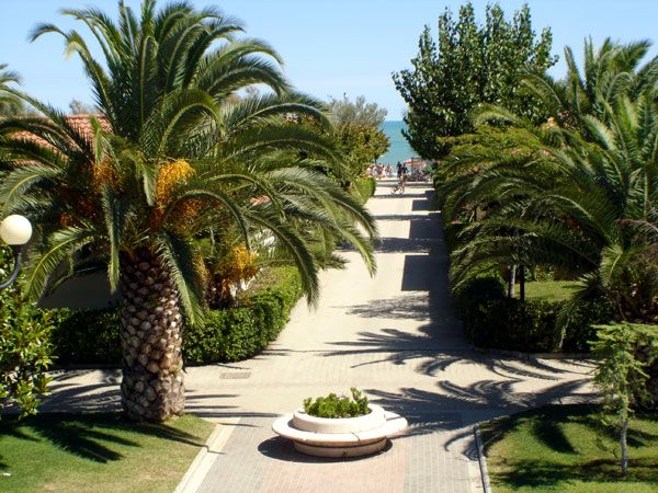Sentiero alberato con palme lussureggianti e vista sul mare in lontananza.