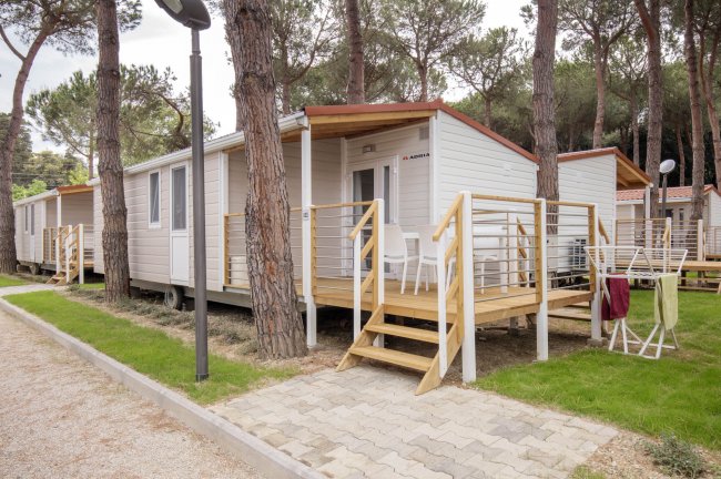 Casetta mobile con veranda in legno, situata tra alberi di pino, con prato e stendibiancheria.