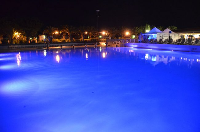 Piscina illuminata di notte con luci blu, vegetazione e luci sullo sfondo.