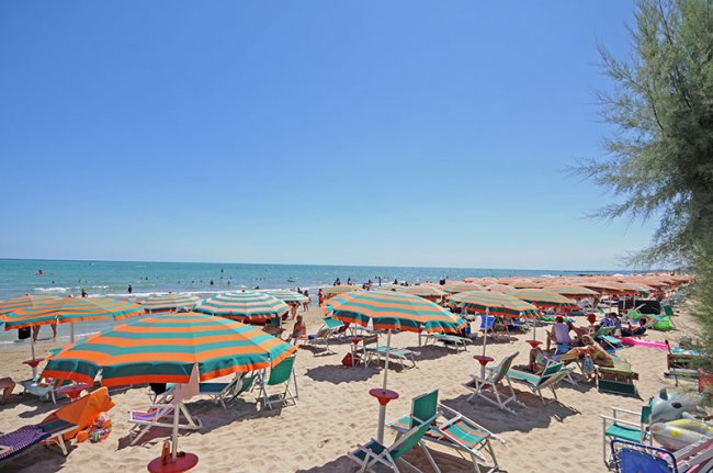 Spiaggia sabbiosa con ombrelloni colorati e mare calmo.