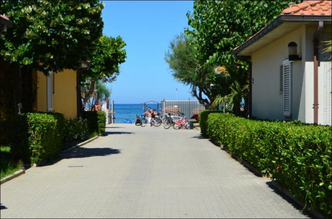 Viale alberato che conduce al mare, con biciclette parcheggiate vicino al cancello.