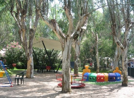 Parco giochi con alberi e giochi colorati.