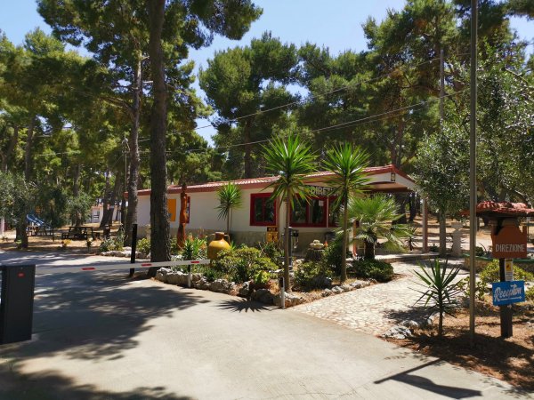 Ingresso di un campeggio circondato da alberi e piante verdi.