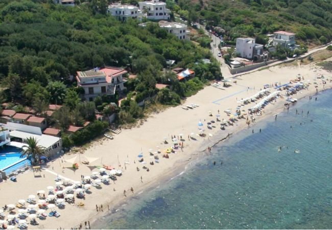 Vista aerea di una spiaggia con ombrelloni e vegetazione.