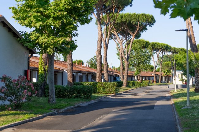 Viale alberato con villette ai lati.
