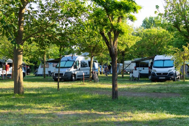 Roulotte parcheggiate in un'area verde con alberi intorno.