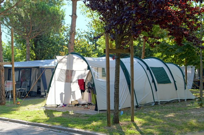 Una tenda da campeggio bianca e verde tra alberi e erba in un'area soleggiata.