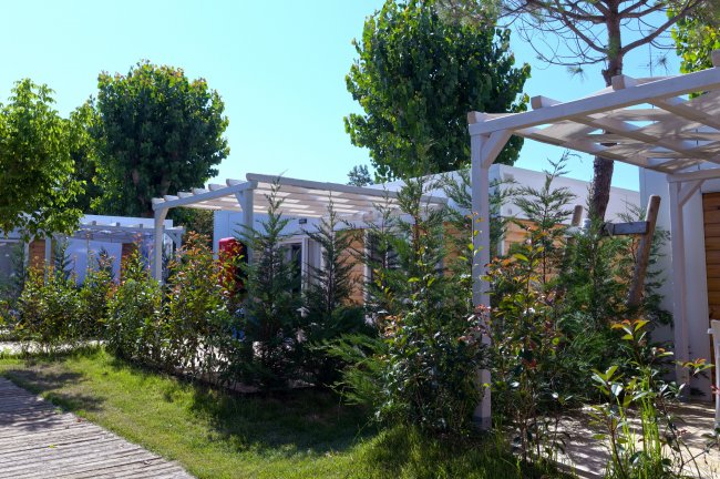 Strutture di bungalow circondate da piante verdi e percorsi pedonali in un ambiente soleggiato.