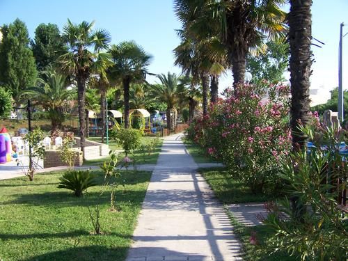 Sentiero tra palme e piante fiorite in un parco giochi.