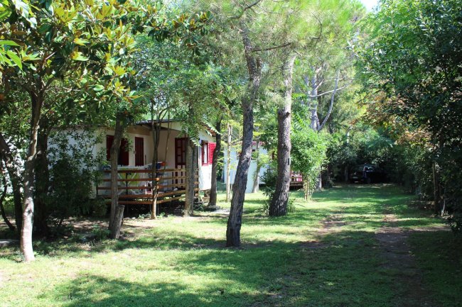 Case bianche con persiane rosse circondate da alberi e prato.
