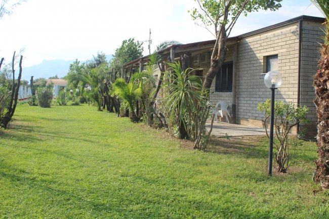 Edificio in mattoni con giardino e piante tropicali.