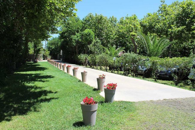 Un vialetto con fioriere allineate e giardino verde.
