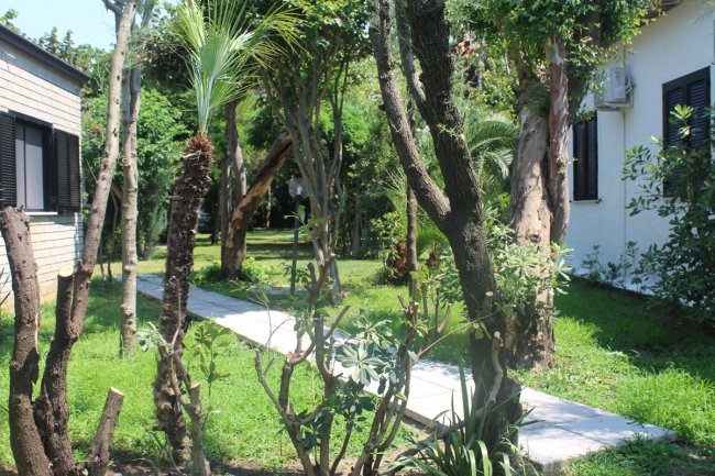 Sentiero tra giardino e alberi vicino a edifici.