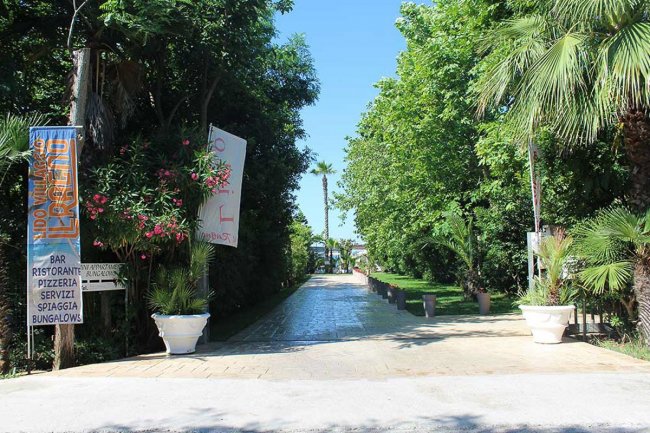 Viale d'ingresso con cartelli, circondato da alberi rigogliosi.
