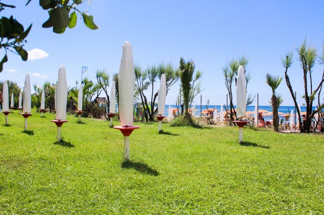 Ombrelloni chiusi su un prato verde vicino al mare.