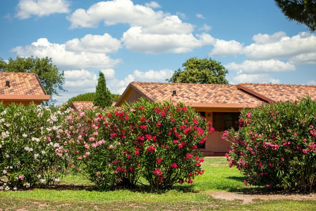 Casette con tetti in tegole tra cespugli fioriti sotto un cielo azzurro.