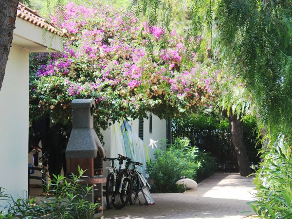 Biciclette parcheggiate accanto a un barbecue e fiori rosa.