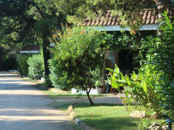 Sentiero alberato con giardino e villette al lato.