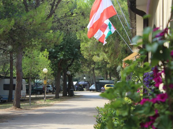 Un campeggio alberato con bandiere e fiori colorati lungo un viale soleggiato.