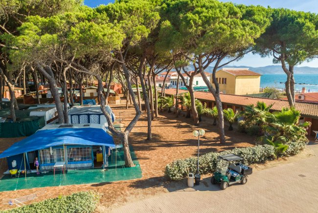 Una tenda blu sotto alberi alti in un'area campeggio.