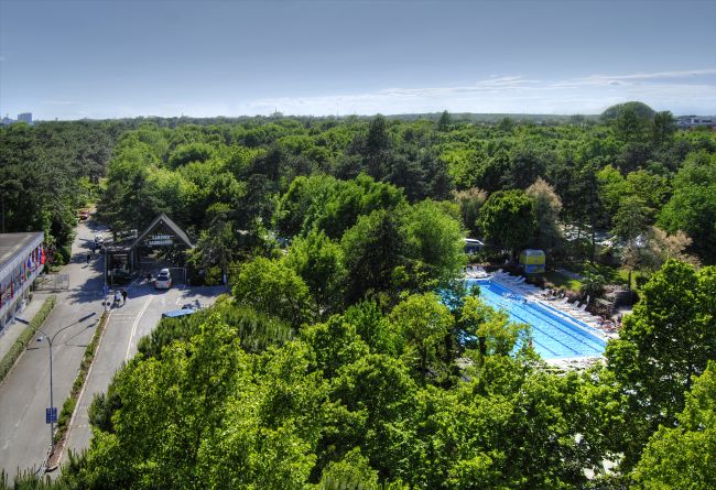 Una vasta area verde con piscina e strada adiacente immerse nella natura.