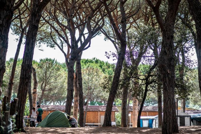Tenda verde tra alberi in un campeggio.