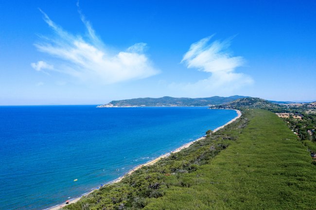 Una costa con mare blu e colline verdi sotto un cielo sereno.