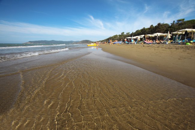 Spiaggia sabbiosa con ombrelloni, lettini e dune alberate sotto un cielo azzurro.
