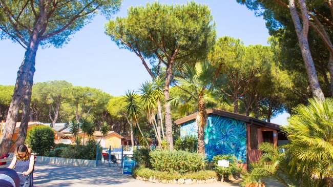 Edificio decorato con palme e alberi sullo sfondo, giornata luminosa.