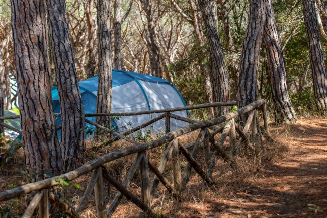 Una tenda blu visibile tra alberi alti, affiancata da una staccionata di legno.