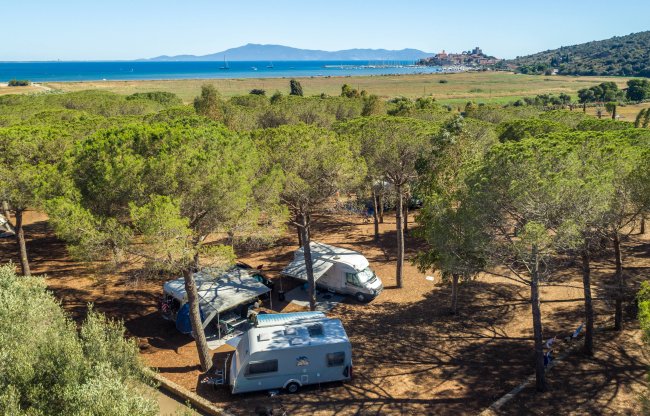 Camper sotto gli alberi, vista sul mare e una collina in lontananza.