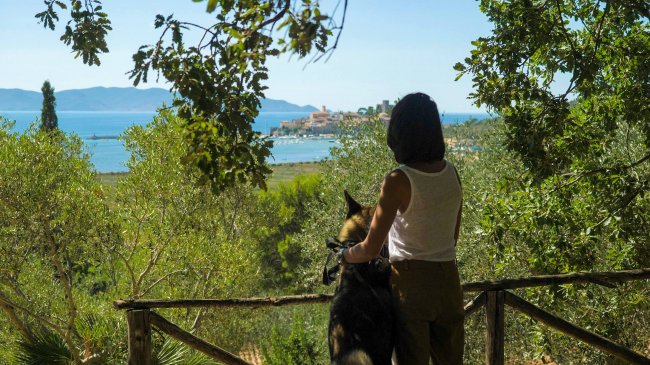 Una persona con un cane guarda un panorama verde con vista sul mare.