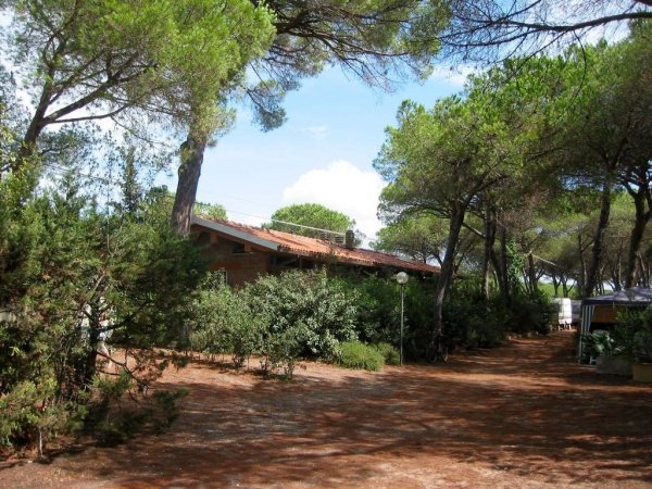 Edificio con tetto spiovente in una foresta di pini.