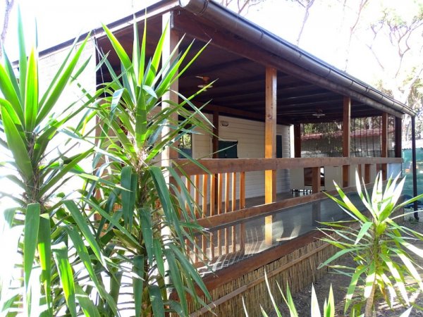 Veranda di legno con piante verdi davanti.