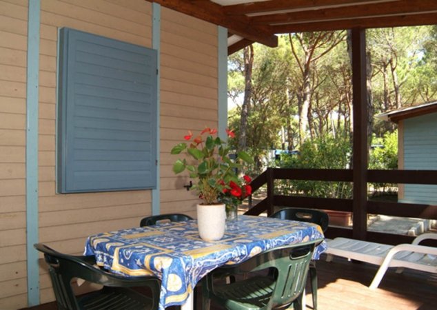 Terrazza con tavolo coperto da tovaglia blu e fiori rossi, circondata da pini.