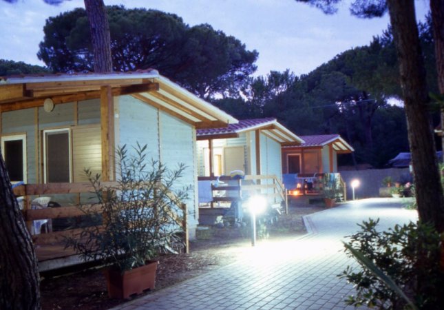 Bungalow di legno illuminati, con piante e vialetto in un campeggio.