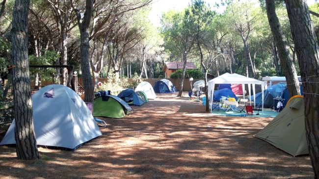 Campeggio tra alberi con tende colorate e una tettoia bianca a destra.