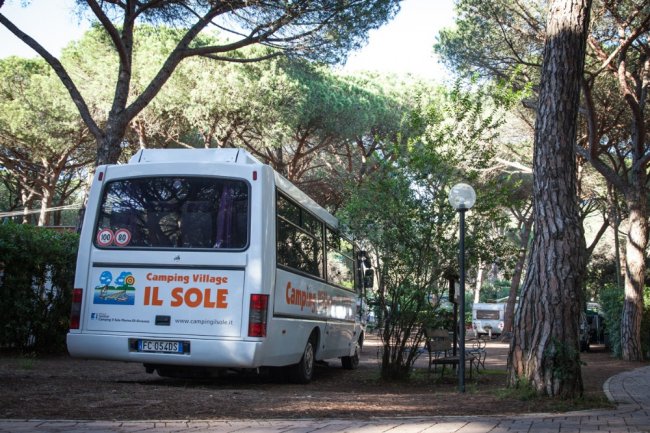 Un autobus bianco con scritta 