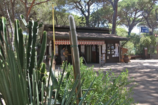 Un chiosco marrone con una tenda a strisce bianche e rosse, circondato da piante e alberi.