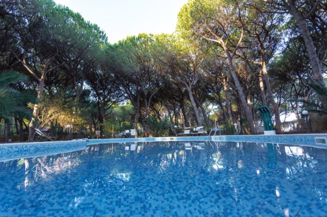 Una piscina con mosaico blu, circondata da alti pini verdi.