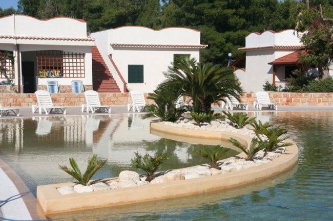 Area piscina con sedie a sdraio e piccoli palmeti al centro.