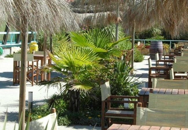 Tavoli e sedie di legno sotto ombrelloni di paglia in un'area esterna con piante tropicali.